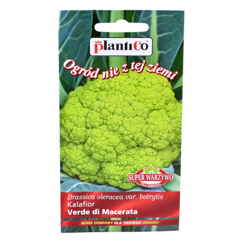 kalafior-verde-1.png