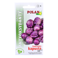 kapusta-brukselska-red-1.png