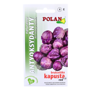 Kapusta brukselska RED - czerwona brukselka - nasiona Plantico 0,3g