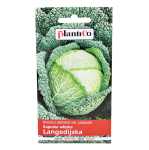 Kapusta włoska późna LANGEDIJSKA nasiona 2g