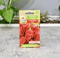 papryka-habanero-red-2.JPG