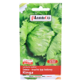 sałata-kinga-1.png