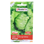 Sałata KINGA - krucha lodowa chrupiąca soczysta średniowczesna - nasiona 1g