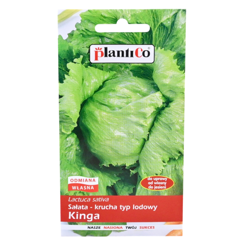 sałata-kinga-1.png