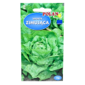 sałata-zimująca-polan-1.png
