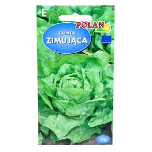 Sałata zimująca Zina - głowiasta masłowa wczesna - nasiona Polan 1g