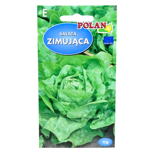 sałata-zimująca-polan-1.png