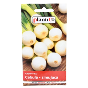 Cebula zimująca - nasiona marki PlantiCo 3g