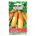 Cukinia Atena Polka - nasiona Plantico 1.png