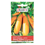 Cukinia ATENA POLKA - pomarańczowa, dynia zwyczajna - nasiona Spójnia 2g