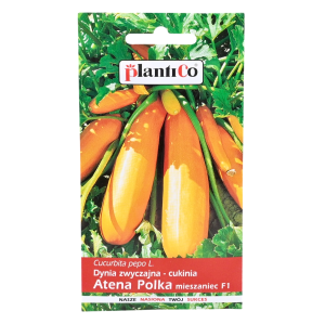Cukinia ATENA POLKA - pomarańczowa, dynia zwyczajna - nasiona Spójnia 2g