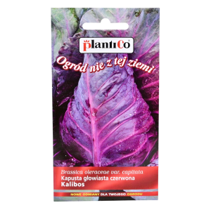 Kapusta czerwona stożkowa KALIBOS - nasiona PlantiCo 1g