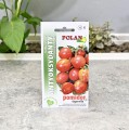 Pomidor Tigerella - nasiona Polan 2.JPG
