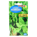 Szczaw belwilski - nasiona Polan 1.png