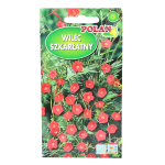 WILEC SZKARŁATNY - Ipomea, Powój czerwony - nasiona Polan 1g