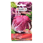 Cykoria liściowa czerwona PALLA ROSSA - nasiona PlantiCo 2g