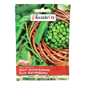Groch łuskowy Cud Kelvedonu, groszek zielony wczesny - nasiona PlantiCo 40g