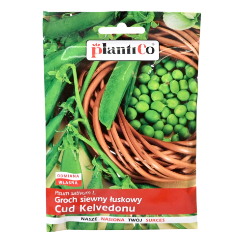 Groch Cud Kelvedonu - nasiona Plantico 1.png