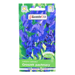 GROSZEK pachnący GRANATOWY - nasiona PlantiCo 2g
