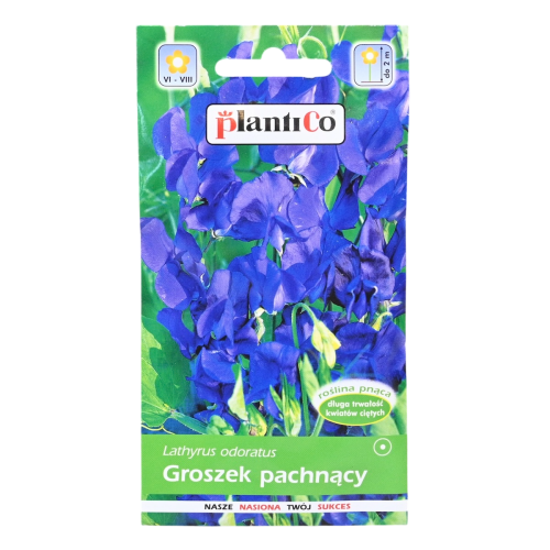 Groszek pachnący granatowy - nasiona Plantico 1.png
