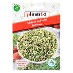 JARMUŻ NA KIEŁKI - prawdziwe superfoods - nasiona PlantiCo 5g