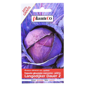 Kapusta czerwona LANGEDIJKER DAUER 2 - nasiona PlantiCo 2,4g