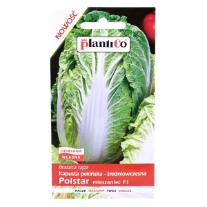 Kapusta pekińska POLSTAR F1 - pekinka - nasiona PlantiCo 0,5g