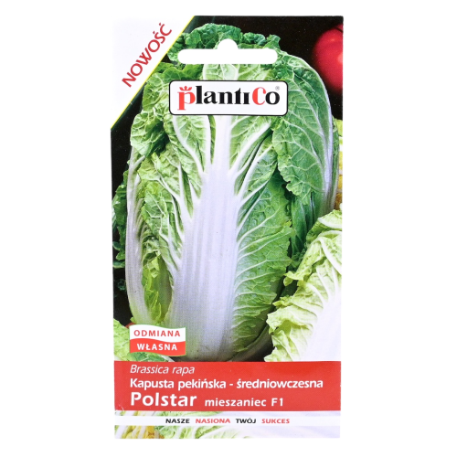 Kapusta pekińska Polstar - nasiona Plantico 1.png