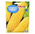 Kukurydza cukrowa - nasiona Polan 1.png