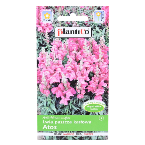 Lwia paszcza Atos - nasiona Plantico 1.png