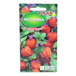 MIECHUNKA ROZDĘTA - garliczka, pęcherznica, bylina ozdobna - nasiona 0,5g