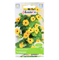 Tunbergia - nasiona Plantico 1.png