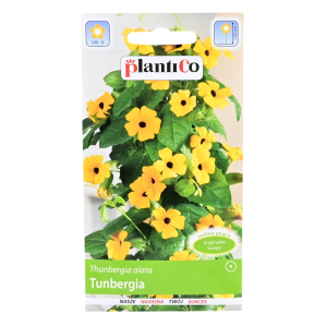 TUNBERGIA - Thunbergia alata, żółte pnącze - nasiona PlantiCo 0,5g