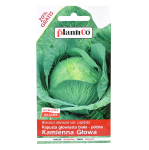 Kapusta biała do kiszenia KAMIENNA GŁOWA - nasiona PlantiCo 2,4g