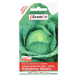 Kapusta biała do kiszenia KAMIENNA GŁOWA - nasiona PlantiCo 2,4g