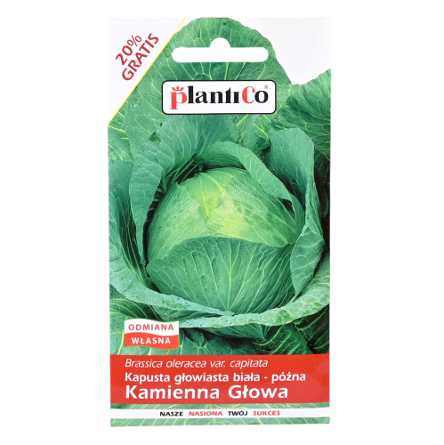 Kapusta Kamienna Głowa - nasiona Plantico 1.png