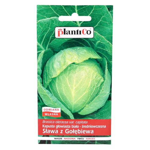 Kapusta Sława - nasiona Plantico 1.png