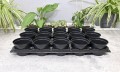 Rozsadnik Horti-10:15 3.JPG