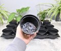 Rozsadnik Horti-10:15 5.JPG