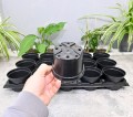 Rozsadnik Horti-10:15 6.JPG