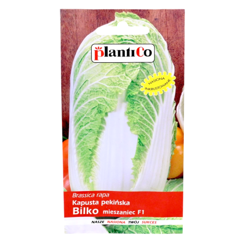 Kapusta pekińska Bilko - nasiona Plantico 1.png