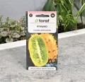 Kiwano - nasiona Toraf 2.JPG
