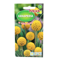 Kraspedia nasiona Polan - 1.png