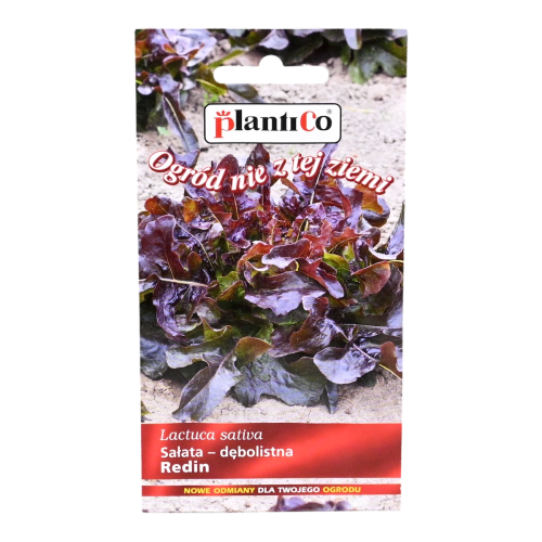 Sałata Redin nasiona Plantico - 1.png