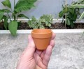 Doniczka Terakota Prosta 6cm - 3.jpg