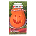 Dynia Halloween nasiona Plantico - 1.png