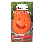 Dynia olbrzymia BIG MAX typ Halloween - nasiona PlantiCo 2g