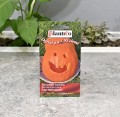 Dynia Halloween nasiona Plantico - 2.JPG