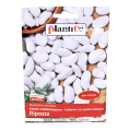 Fasola Riposta nasiona Plantico - 1.png