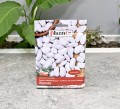 Fasola Riposta nasiona Plantico - 2.JPG